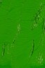 Gamblin 1980 Oil: Permanent Green Light 37ml