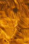 Gamblin 1980 Oil: Transparent Yellow Oxide 37ml