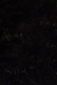 Gamblin 1980 Oil: Ivory Black 150ml