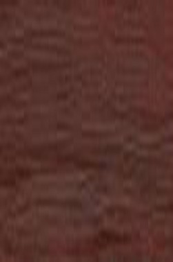 Winsor & Newton Winton Oil: Burnt Sienna 37ml