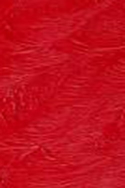 Winsor & Newton Winton Oil: Cadmium Red Deep Hue 37ml