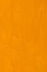 Winsor & Newton Winton Oil: Cadmium Yellow Hue 200ml