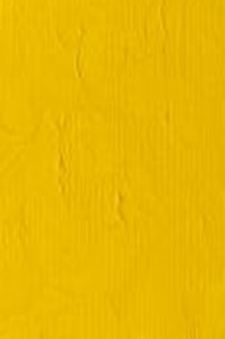 Winsor & Newton Winton Oil: Cadmium Yellow Pale Hue 200ml