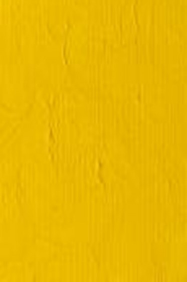Winsor & Newton Winton Oil: Cadmium Yellow Pale Hue 200ml