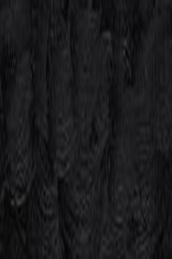 Winsor & Newton Winton Oil: Lamp Black 37ml