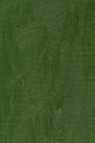 Winsor & Newton Winton Oil: Oxide Of Chrome 37ml