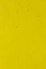 Gamblin Artist Oil: Cadmium Chartreuse  37ml