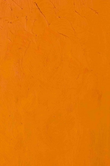 Gamblin Artist Oil: Cadmium Orange  37ml