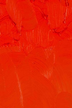 Gamblin Artist Oil: Cadmium Red Light 37ml