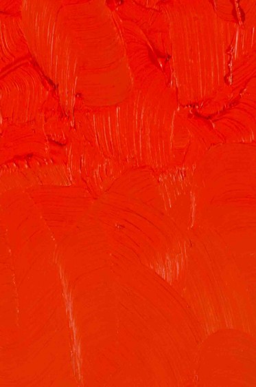 Gamblin Artist Oil: Cadmium Red Light 37ml