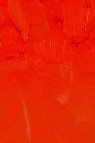 Gamblin Artist Oil: Cadmium Red Light 37ml