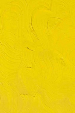 Gamblin Artist Oil: Cadmium Yellow Light 37ml