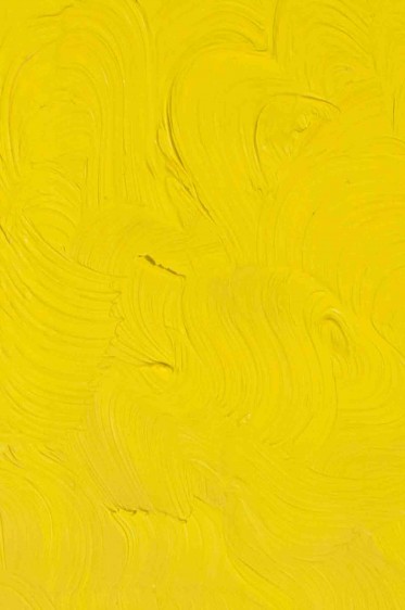 Gamblin Artist Oil: Cadmium Yellow Light 37ml