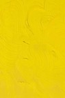 Gamblin Artist Oil: Cadmium Yellow Light 37ml