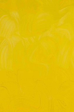 Gamblin Artist Oil: Cadmium Yellow Medium 37ml