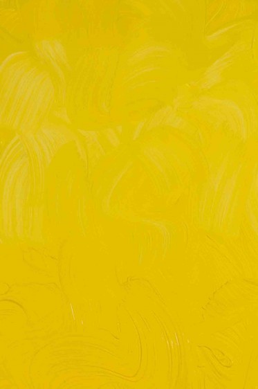 Gamblin Artist Oil: Cadmium Yellow Medium 37ml