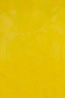 Gamblin Artist Oil: Cadmium Yellow Medium 37ml