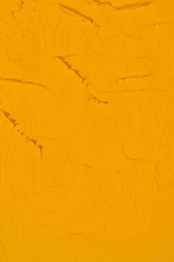 Gamblin Artist Oil: Cadmium Yellow Deep 37ml