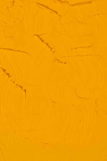 Gamblin Artist Oil: Cadmium Yellow Deep 37ml