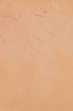 Gamblin Artist Oil: (Caucasian Flesh Tone) Naples Orange 37ml