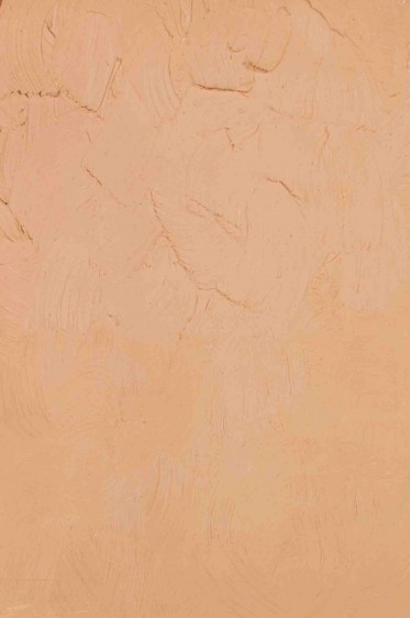 Gamblin Artist Oil: Caucasian Flesh Tone 37ml