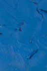 Gamblin Artist Oil: Cerulean Blue 37ml