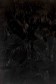 Gamblin Artist Oil: Chromatic Black 37ml