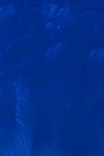 Gamblin Artist Oil: Cobalt Blue 37ml