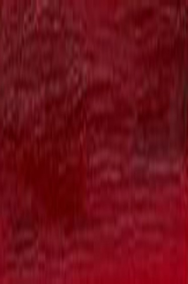 Winsor & Newton Winton Oil: Permanent Alizarin Crimson  200ml