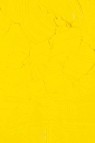 Gamblin Artist Oil: Hansa Yellow Light 37ml
