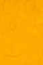 Gamblin Artist Oil: Hansa Yellow Deep 37ml