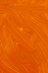 Gamblin Artist Oil: Indian Yellow 37ml