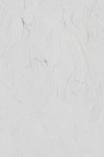 Gamblin Artist Oil: Portland Grey Light 37ml