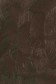Gamblin Artist Oil: Raw Umber 37ml