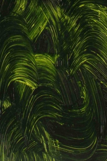 Gamblin Artist Oil: Sap Green 37ml