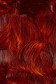 Gamblin Artist Oil: Transparent Earth Red 37ml