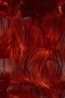 Gamblin Artist Oil: Transparent Earth Red 37ml