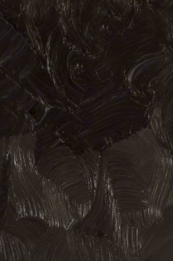 Gamblin Artist Oil: Van Dyke Brown 37ml