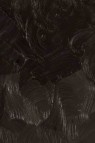 Gamblin Artist Oil: Van Dyke Brown 37ml