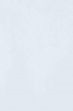 Gamblin Artist Oil: Cool White 37ml