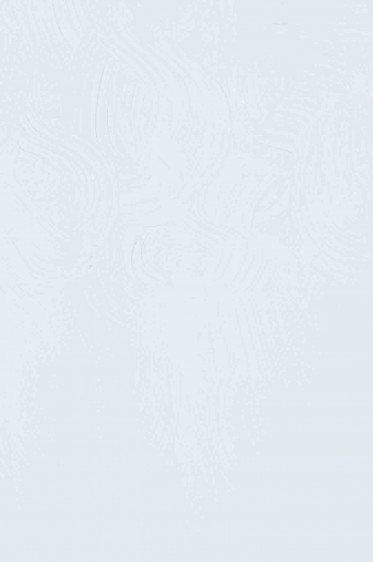 Gamblin Artist Oil: Cool White 37ml