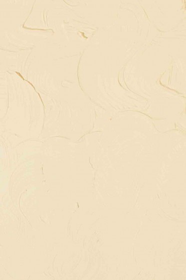 Gamblin Artist Oil: Warm White 37ml