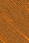 Williamsburg Oil: Cyprus Orange 37ml