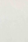 Gamblin Artist Oil: Flake White Replacement 37ml