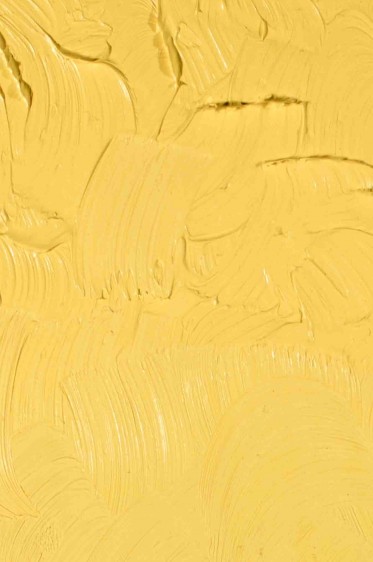 Gamblin Artist Oil: Radiant Yellow 37ml
