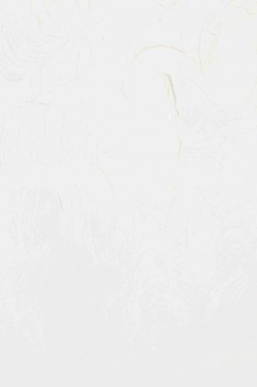 Gamblin Artist Oil: Radiant White 37ml