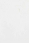 Gamblin Artist Oil: Radiant White 37ml