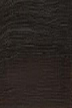 Winsor & Newton Winton Oil: Raw Umber 200ml