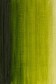 Winsor & Newton Winton Oil: Sap Green  200ml