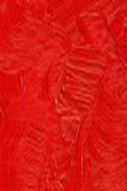 Winsor & Newton Winton Oil: Scarlet Lake 37ml